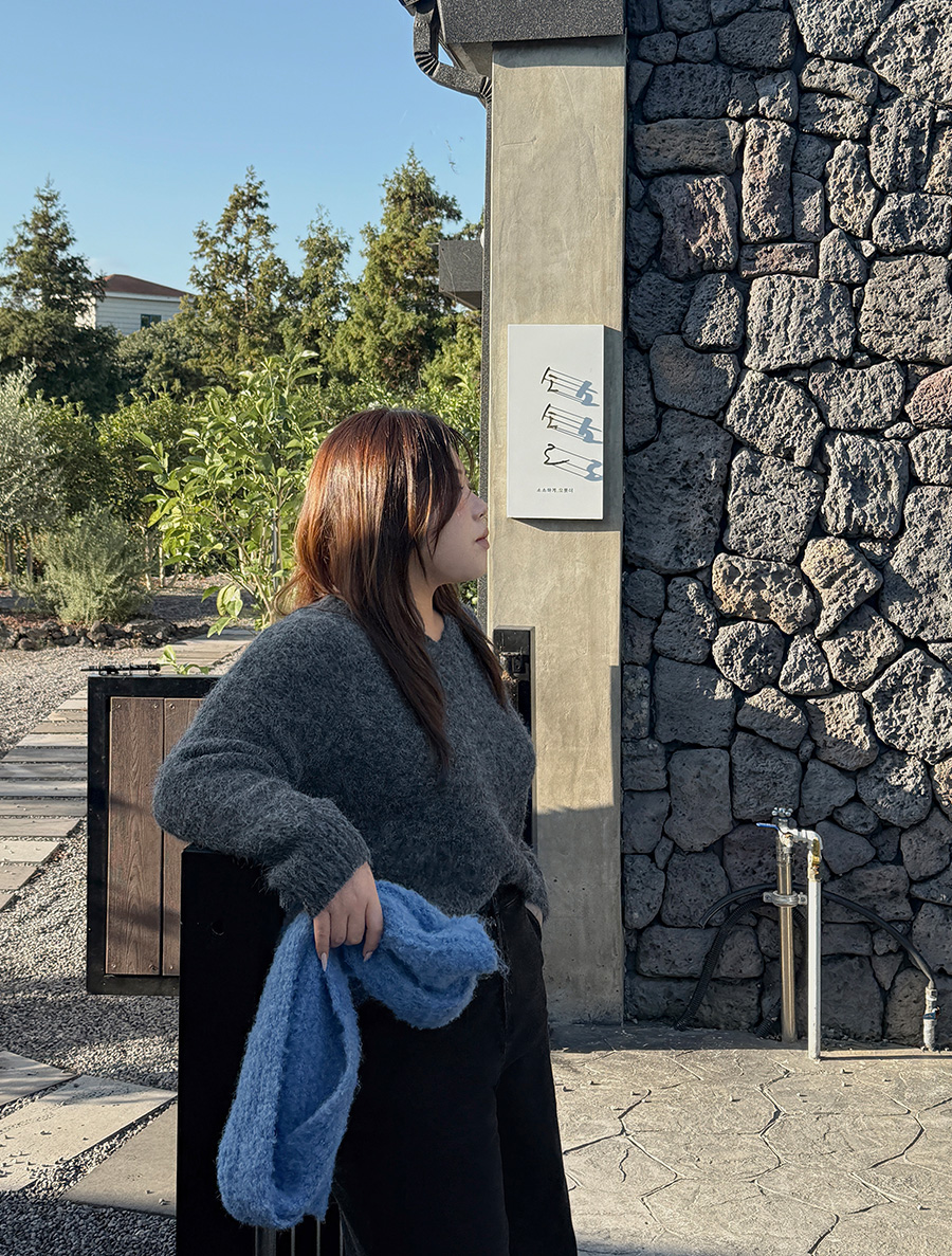 Ryu Even V-neck Mohair Wool Knit