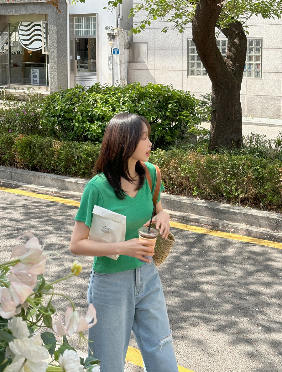 [EVELLET] Livni Slim Fit Ribbed V-neck T-shirt